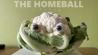 THE HOMEBALL - Froog