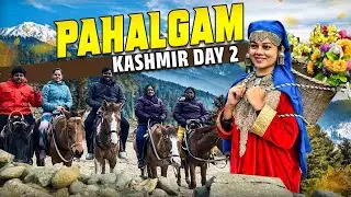 1 கிலோ ஆப்பிள் இவ்ளோதானா |  மலைப்பாதையில் குதிரை சவாரி | KASHMIR DAY 2  | Anithasampath Vlogs