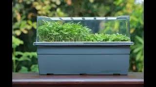 Sprouta | Grow Sprouts & Microgreens | Product Video | Greena