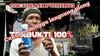 seminggu langsung plong - ga pake lama - terbukti - rawatan pleci serak