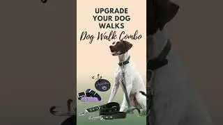 Walk in style with our PVC Dog Walk Combo with a customized tag! #pet #petsafety #petlover