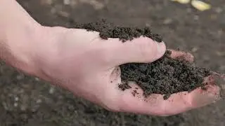Seeka Sustainability