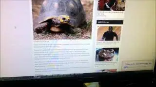 New segment to my channel: Reptiles in the news