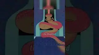 The shepherd saves the snake&rsquo;s life #shorts #animation