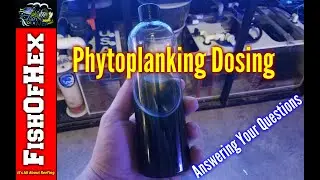 Dosing Phytoplankton | Answering Your Questions
