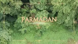 Parmadan forest aerial view