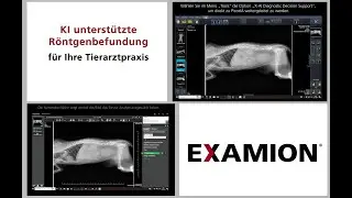 Tutorial KI in der R&ouml;ntgensoftware X-AQS f&uuml;r Ihre Tierarztpraxis