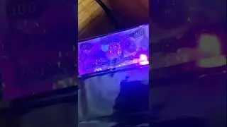 JTENG 4pcs Linterna Ultravioleta Led Linterna UV flashlight, Para mi colecci&oacute;n de billetes  Funciona