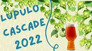 Lupulas Cascade Enero de 2022!!! Lupulo en casa!!!! Homebrew!!!! Cerveza Artesana Sagal!!!
