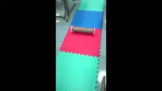COE 312 project video-Color detecting rolling cylinder
