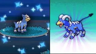 LIVE! Shiny Houndour after ONLY 192 Random Encounters! (+ Evolution!) - Pokemon Platinum