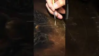 Dark chiaroscuro oil painting, golden details