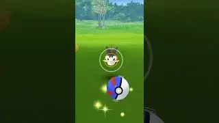 Emolga encounter in Pokemon go#pokemon