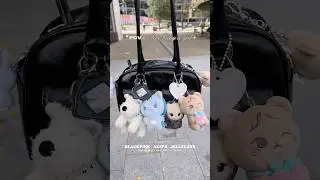 my KPOP themed bag - *with plushies*  #kpop #blackpink #aespa #jellycat #miffy #plushies #bag