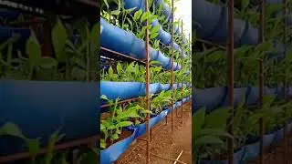 vertical farming
