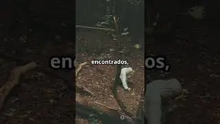 El Misterio de los Misioneros #selvasdelmundo #misteriosdelaselva #naturalezasalvaje #amazonas