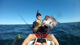 Hot Sawtell Snapper Session