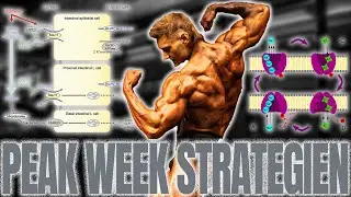 PEAK WEEK - Richtig LADEN & ENTLADEN! (Carbs, Salz, Wasser) mit André Patris