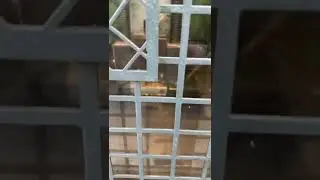 Charmilles 330F Wire Erosion Machine