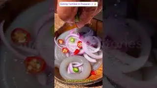 Eating Tamilok in Palawan 🥢🥚 | Exotic Filipino Street Food #shorts  #foodshorts