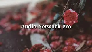 copyright free music attribution not required-audio network pro )