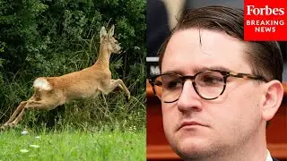 Addison McDowell: Conservation 'Must Never Come At The Expense Of Our Traditions'