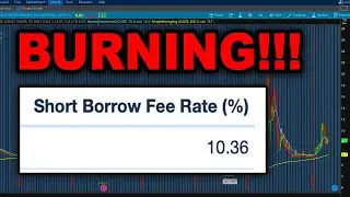 AMC SHORT INTEREST RATE HAS DOUBLED!!!