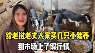 给老挝老丈人家买几只小猪养，到市场上了解行情，争取在回国前给老丈人建好猪圈【老挝媳妇MEE】