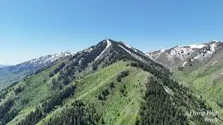 Spring Mountains