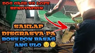 DOG CAGE NA GINAWANG PIGEON LOFT / RENOVATION NANAMAN DISGRASYA PA SAKLAP /WELZ LOFT TV
