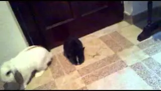 21082010014.mp4