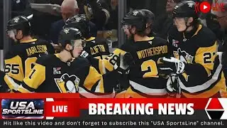 Penguins Set for New Owner as Hoffmann Family Eyes Franchise। USA SportsLine