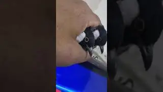 الفرق بين الذكر والانثى