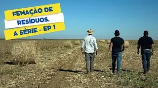 Chegando na fazenda para entender o que vamos fazer. Fenação de resíduos da colheita. Episódio 01.