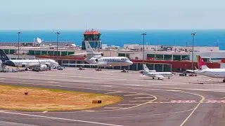 STUNNING FALCON 50 LOW PASS Portugal Air Force at Madeira Airport