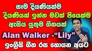 Learn English with songs - Lily by Alan Walker
