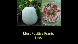 Most Positive Pranic Food