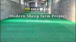 Saudi&nbsp;Sheep&nbsp;Farm&nbsp;Construction&nbsp;Project