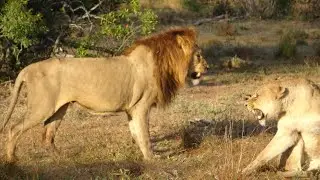 Rondreis Zuid Afrika 2022