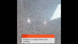 Terrazzo restoration
