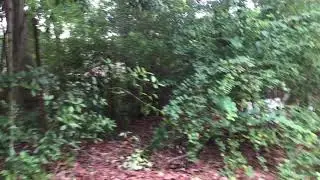 Building My Backyard BBQ Hut - 2