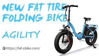 Haidong New Fat Tire Folding Electric Bike Agility