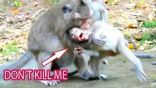 O.M.G...GOD HELP PLEASE//VIOLET BITES LITTLE MONKEY SO STRONG, SHE CRIES CONVULSION NEARLY PASS AWAY