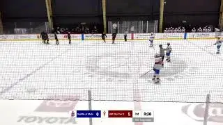 JSD 16u Tier 2 Vs. Seattle Jr. Mets
