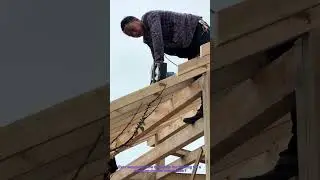 How to Trim Excess Wood for a Pressure-Treated Wood Cabin