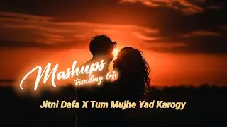 Jitni Dafa X Tum Mujhe Yad krogy   Breakup Mashup - 2025