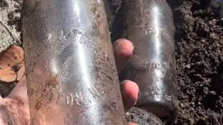 Rare 120 Year Old Blob Tops Dug!!!