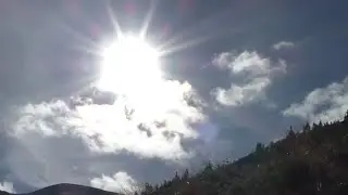 Свидовецьке лісництво.