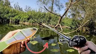 Ce GROS leurre sauve ma pêche !! (Les brochets sont fous)