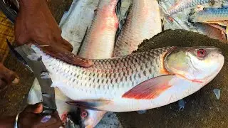 Amazing Big Rui Fish Cutting & Slicing By Fishmonger At Bangladeshi Fish Market